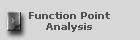 Function Point 
Analysis